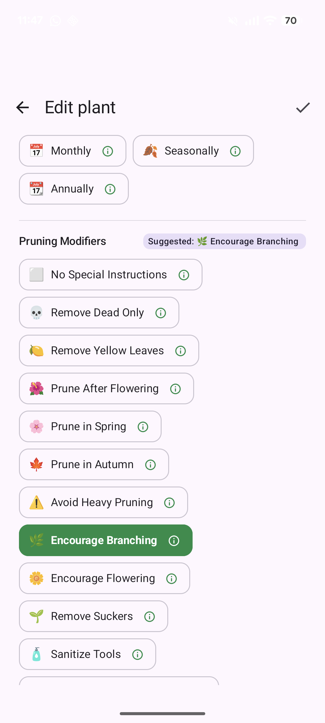 Additional hint for your plant