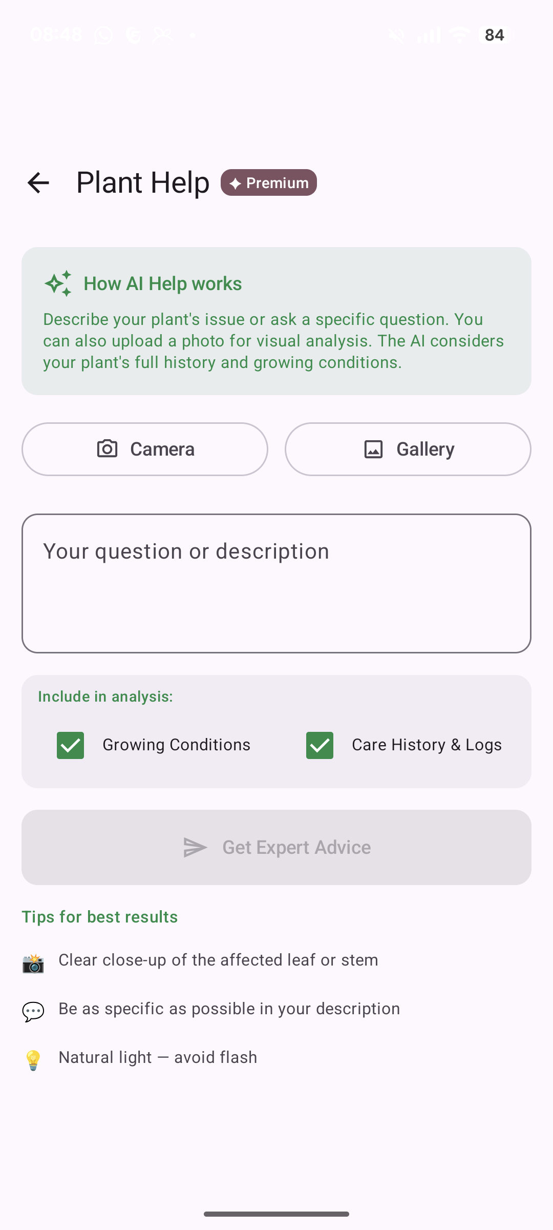 AI Help